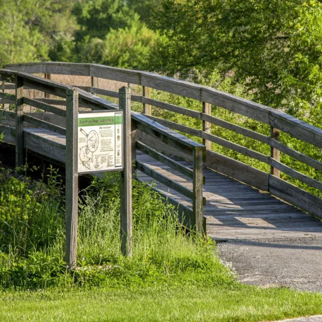 Wooden footbridge surrounded by green foliage, with two informational signs at the entrance; paved path leads toward the bridge.